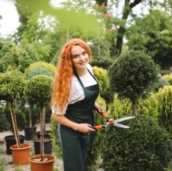 Invazivní dřeviny, které si raději nevysazujte do zahrady